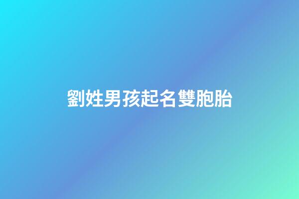 劉姓男孩起名雙胞胎(劉姓男孩起名雙胞胎名字)-第1張-男孩起名-玄機派