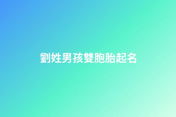 劉姓男孩雙胞胎起名(劉姓男孩雙胞胎起名字大全)-第1張-男孩起名-玄機派