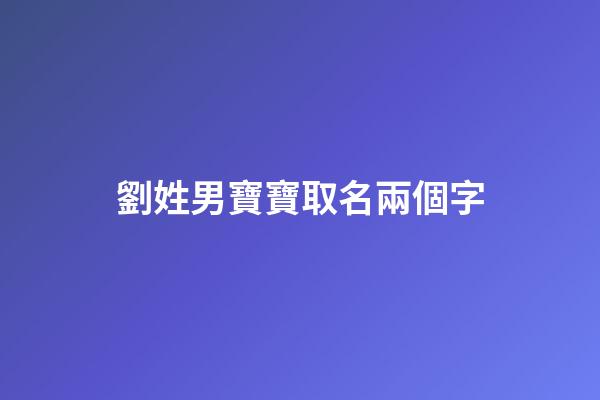 劉姓男寶寶取名兩個字(劉姓男寶寶取名兩個字的名字)-第1張-男孩起名-玄機派