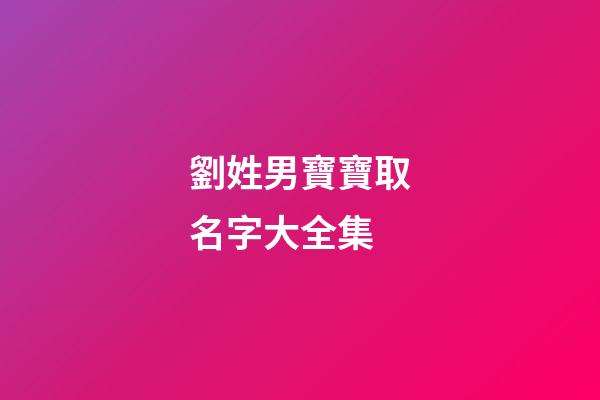 劉姓男寶寶取名字大全集(劉姓男寶寶取名字大全集兩個字)-第1張-男孩起名-玄機派