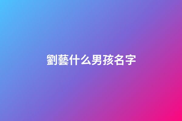 劉藝什么男孩名字(劉藝這個(gè)名字)-第1張-男孩起名-玄機(jī)派
