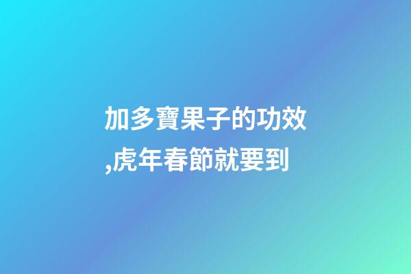 加多寶果子的功效,虎年春節就要到-第1張-觀點-玄機派