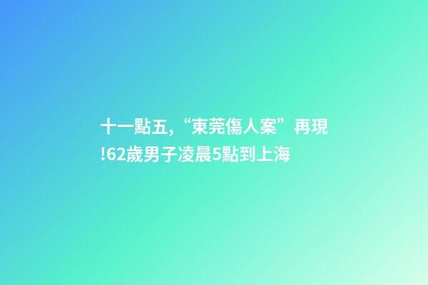 十一點五,“東莞傷人案”再現!62歲男子凌晨5點到上海-第1張-觀點-玄機派
