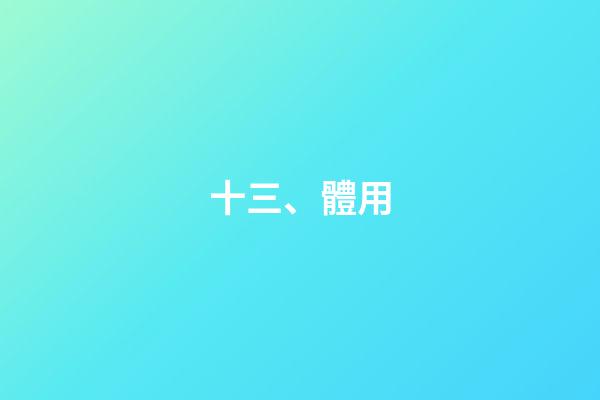 十三、體用