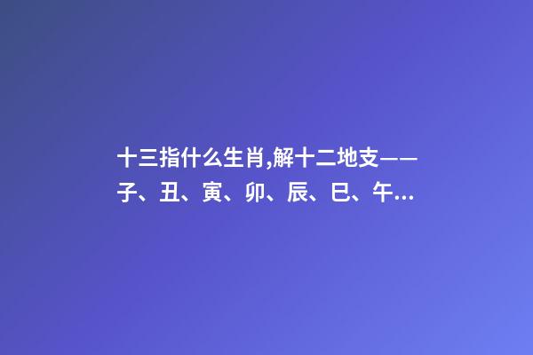 十三指什么生肖,解十二地支——子、丑、寅、卯、辰、巳、午、未、申、酉、戌、亥-第1張-觀點-玄機派