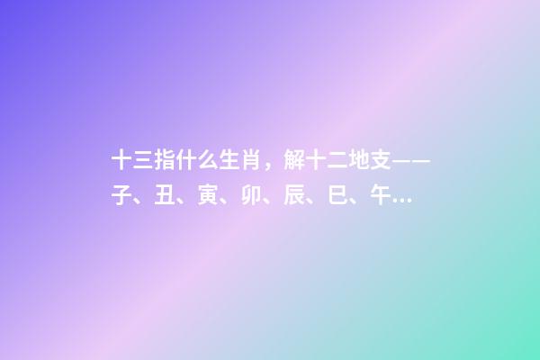 十三指什么生肖，解十二地支——子、丑、寅、卯、辰、巳、午、未、申、酉、戌、亥-第1張-觀點-玄機派
