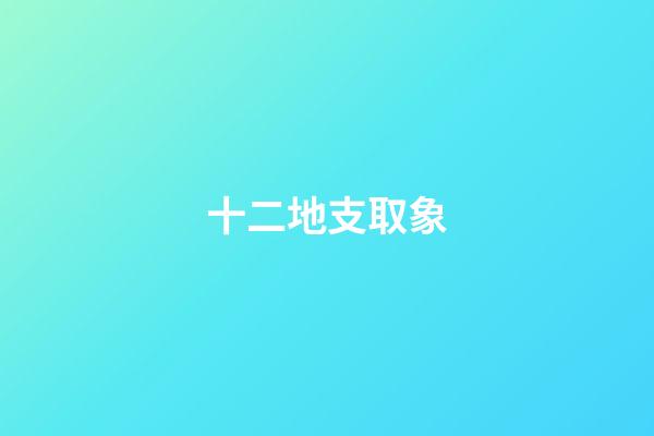 十二地支取象
