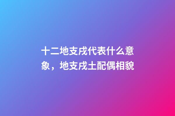 十二地支戌代表什么意象，地支戌土配偶相貌