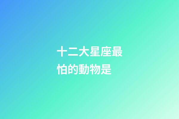 十二大星座最怕的動物是-第1張-星座運勢-玄機派