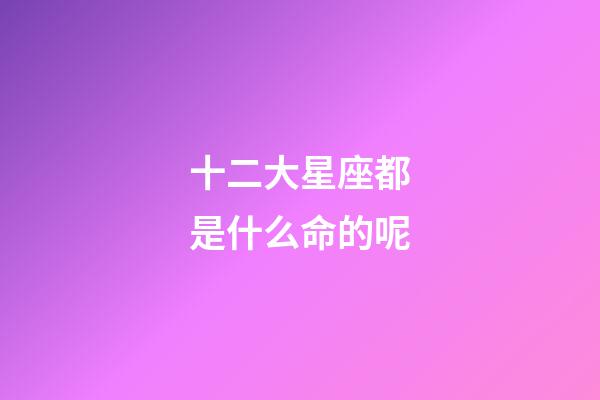 十二大星座都是什么命的呢-第1張-星座運勢-玄機派