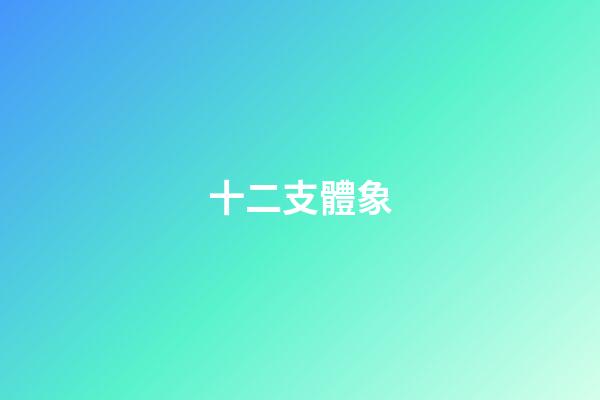 十二支體象