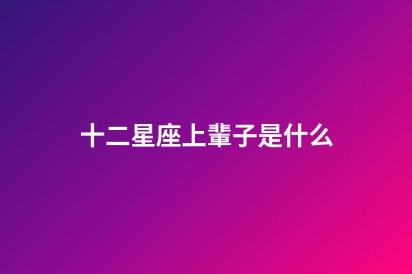 十二星座上輩子是什么-第1張-星座運勢-玄機派