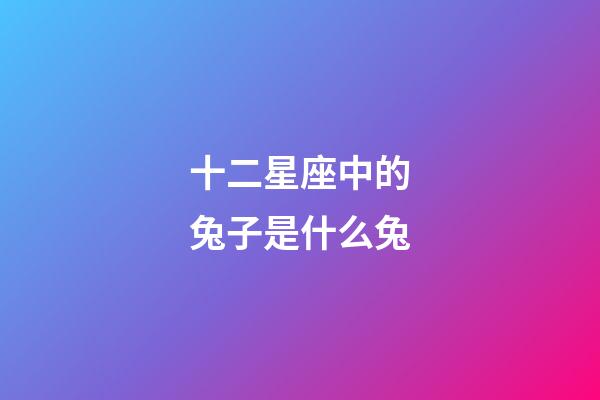 十二星座中的兔子是什么兔-第1張-星座運勢-玄機派