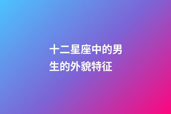十二星座中的男生的外貌特征-第1張-星座運勢-玄機派