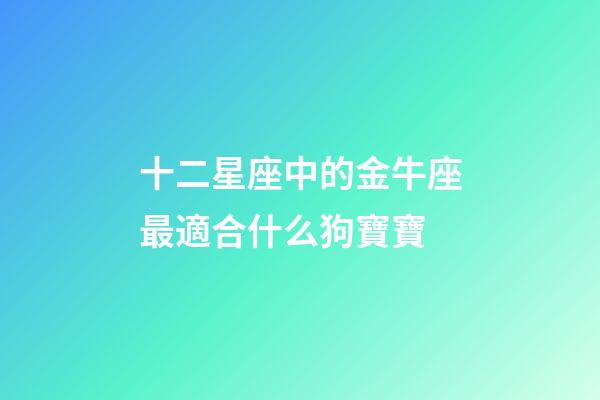 十二星座中的金牛座最適合什么狗寶寶