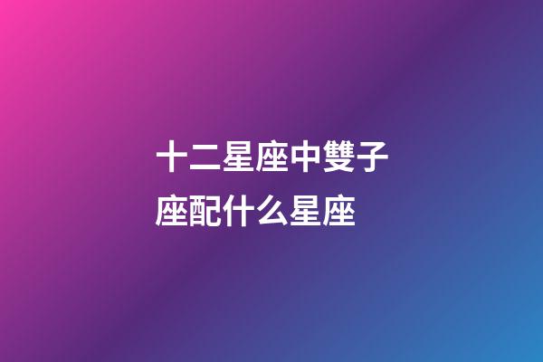 十二星座中雙子座配什么星座-第1張-星座運勢-玄機派