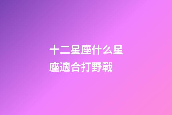 十二星座什么星座適合打野戰-第1張-星座運勢-玄機派