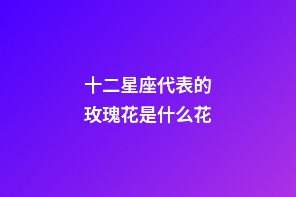 十二星座代表的玫瑰花是什么花-第1張-星座運勢-玄機派