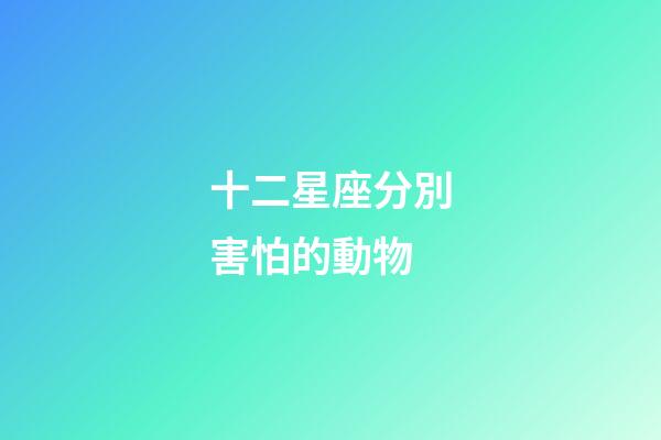 十二星座分別害怕的動物-第1張-星座運勢-玄機派