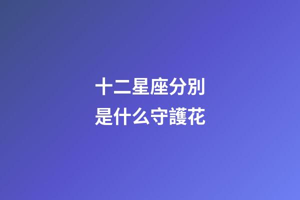十二星座分別是什么守護花-第1張-星座運勢-玄機派