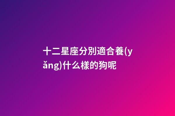 十二星座分別適合養(yǎng)什么樣的狗呢-第1張-星座運(yùn)勢(shì)-玄機(jī)派