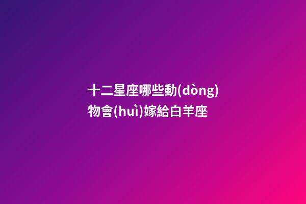 十二星座哪些動(dòng)物會(huì)嫁給白羊座-第1張-星座運(yùn)勢(shì)-玄機(jī)派