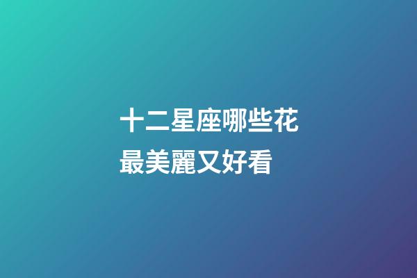 十二星座哪些花最美麗又好看-第1張-星座運(yùn)勢(shì)-玄機(jī)派