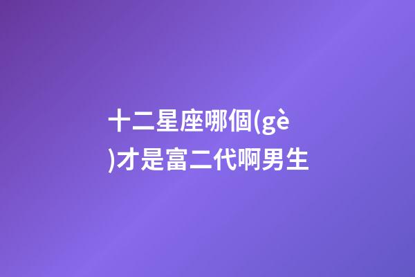 十二星座哪個(gè)才是富二代啊男生-第1張-星座運(yùn)勢(shì)-玄機(jī)派