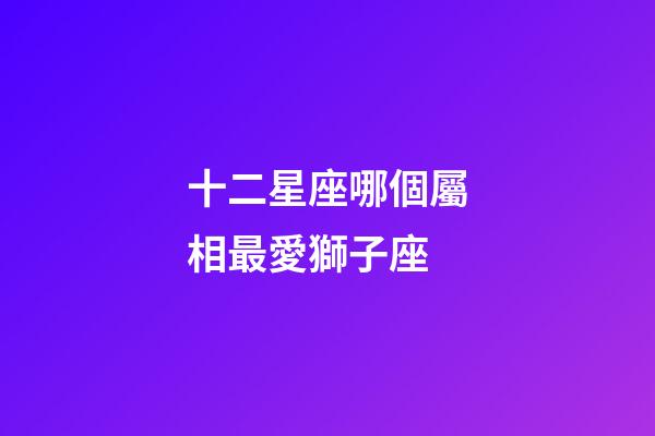 十二星座哪個屬相最愛獅子座-第1張-星座運勢-玄機派