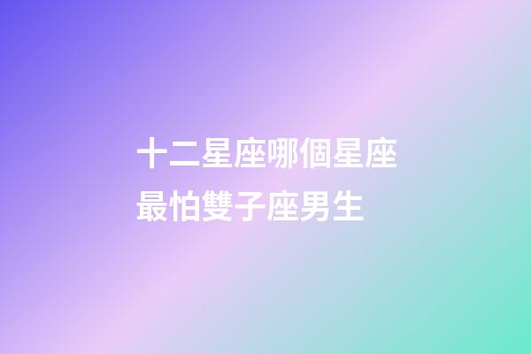 十二星座哪個星座最怕雙子座男生-第1張-星座運勢-玄機派