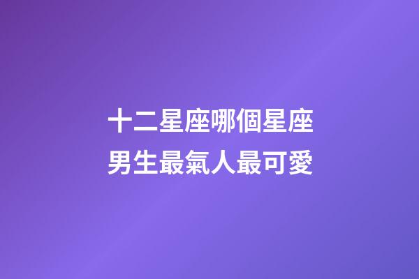 十二星座哪個星座男生最氣人最可愛-第1張-星座運勢-玄機派