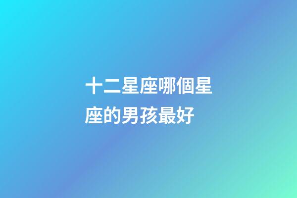 十二星座哪個星座的男孩最好-第1張-星座運勢-玄機派