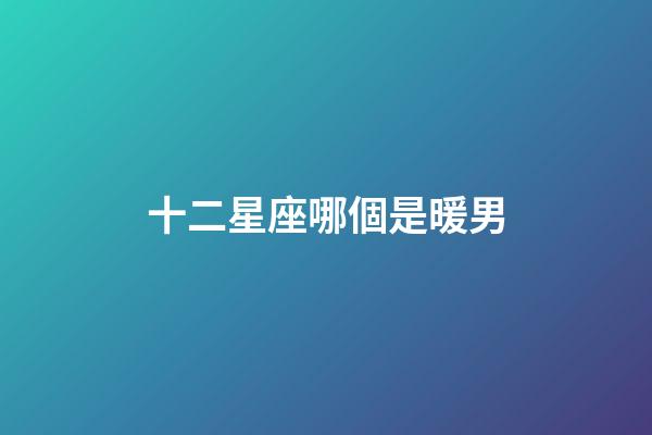 十二星座哪個是暖男-第1張-星座運勢-玄機派