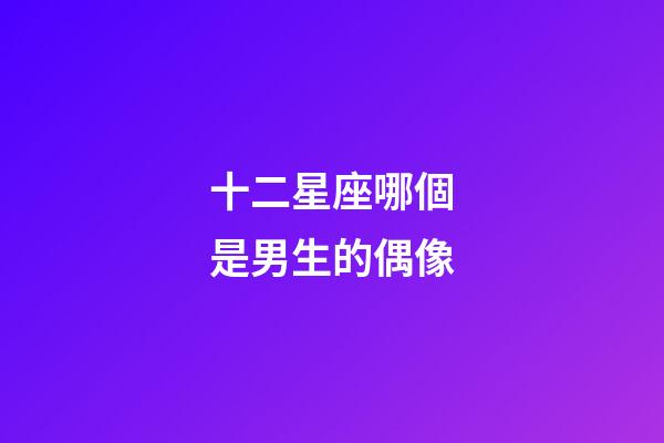 十二星座哪個是男生的偶像-第1張-星座運勢-玄機派