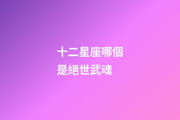 十二星座哪個是絕世武魂-第1張-星座運勢-玄機派