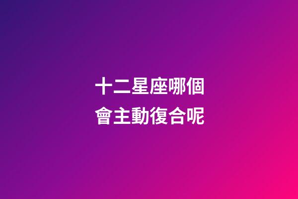 十二星座哪個會主動復合呢-第1張-星座運勢-玄機派