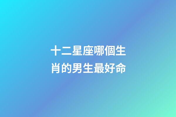 十二星座哪個生肖的男生最好命-第1張-星座運勢-玄機派