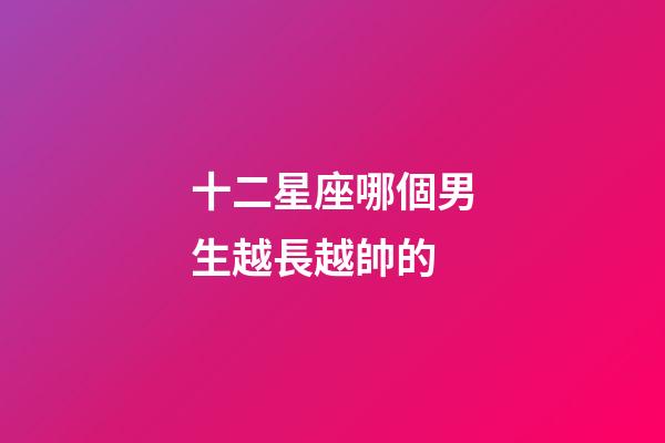 十二星座哪個男生越長越帥的-第1張-星座運勢-玄機派