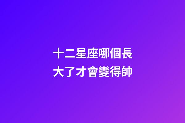 十二星座哪個長大了才會變得帥-第1張-星座運勢-玄機派