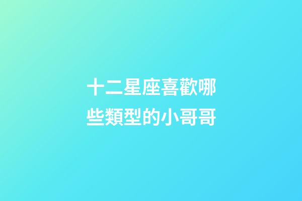 十二星座喜歡哪些類型的小哥哥-第1張-星座運勢-玄機派