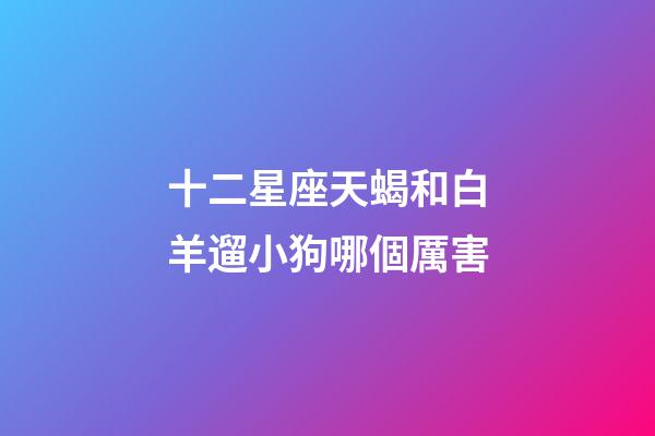 十二星座天蝎和白羊遛小狗哪個厲害-第1張-星座運勢-玄機派