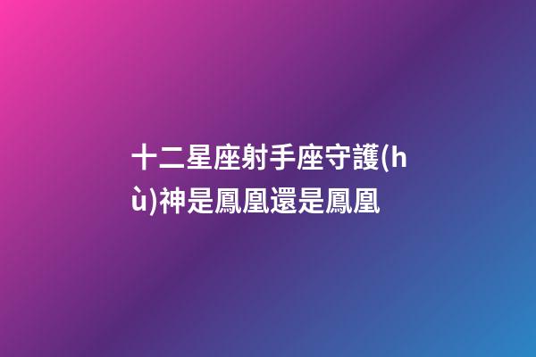 十二星座射手座守護(hù)神是鳳凰還是鳳凰-第1張-星座運(yùn)勢(shì)-玄機(jī)派