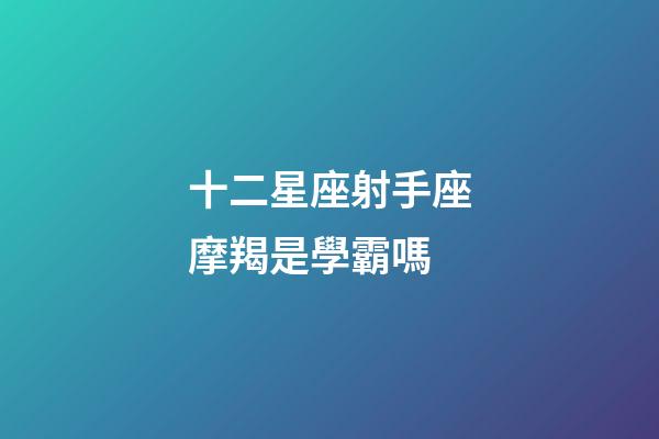 十二星座射手座摩羯是學霸嗎-第1張-星座運勢-玄機派