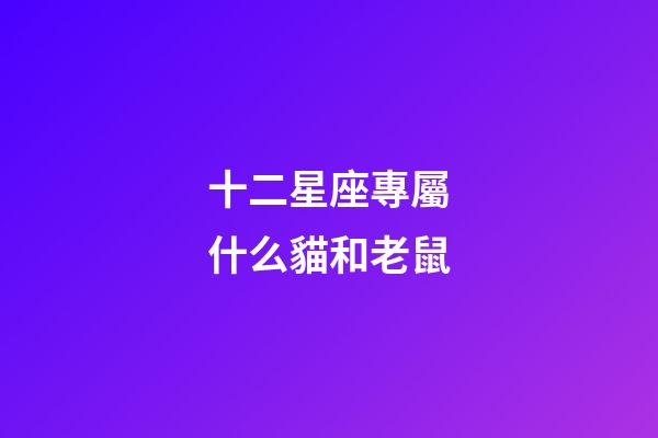 十二星座專屬什么貓和老鼠-第1張-星座運勢-玄機派