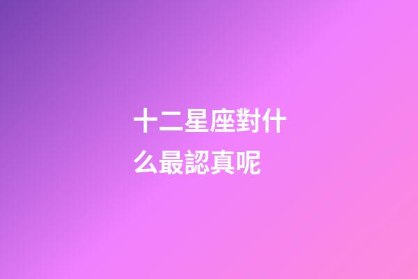 十二星座對什么最認真呢-第1張-星座運勢-玄機派
