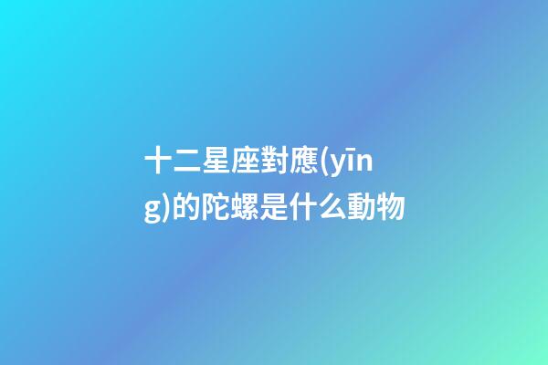 十二星座對應(yīng)的陀螺是什么動物
