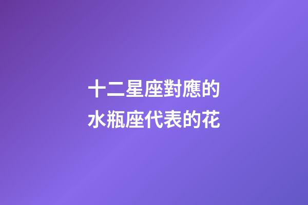 十二星座對應的水瓶座代表的花-第1張-星座運勢-玄機派