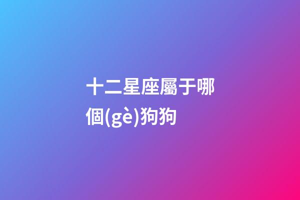 十二星座屬于哪個(gè)狗狗-第1張-星座運(yùn)勢(shì)-玄機(jī)派