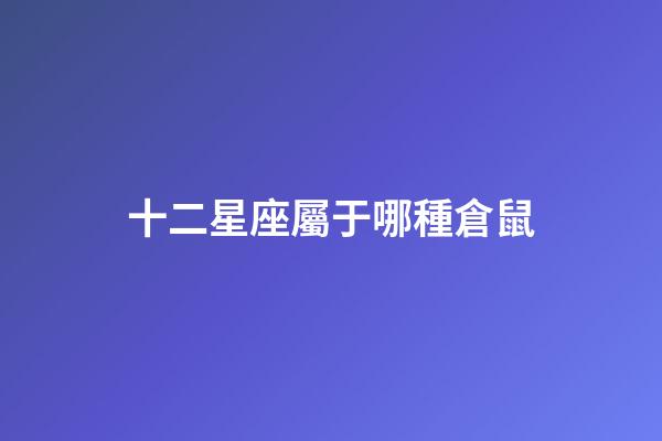十二星座屬于哪種倉鼠-第1張-星座運勢-玄機派