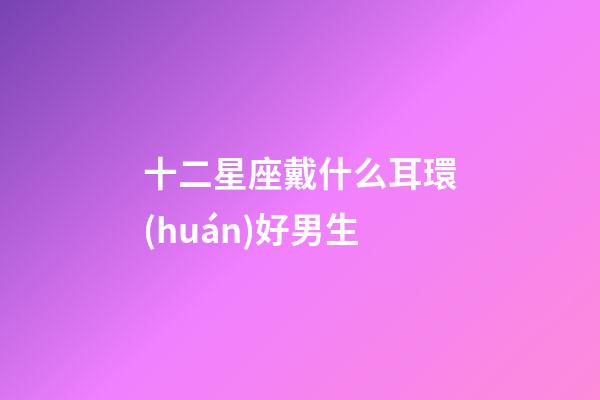 十二星座戴什么耳環(huán)好男生-第1張-星座運勢-玄機派